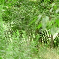homestead_fence