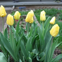 April 2008: Miscellaneous