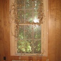oldcrowerin110